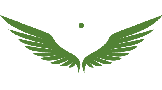 Noram Lithium Corp.